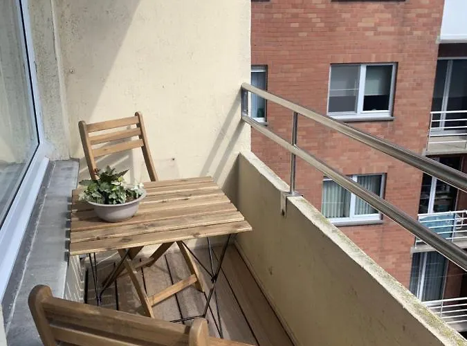 Oskar Luxe Op Zeedijk Met Zeezicht Ostende